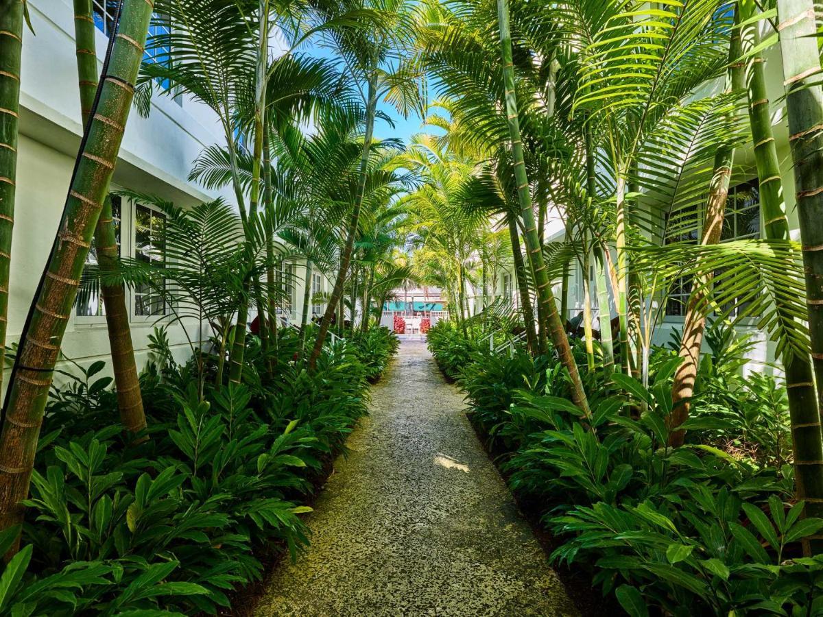 Axel Beach Miami-South Beach - Adults Only Miami Beach Extérieur photo